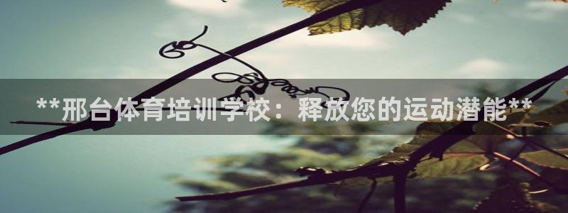 极悦平台非7O777：**邢台体育培训学校：释放您的