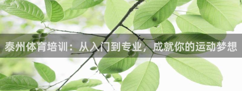 极悦平台官方网站首页登录：泰州体育培训：从入门到专业