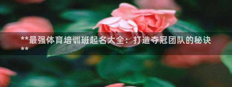 极悦平台官方网站登录入口：**最强体育培训班起名大全