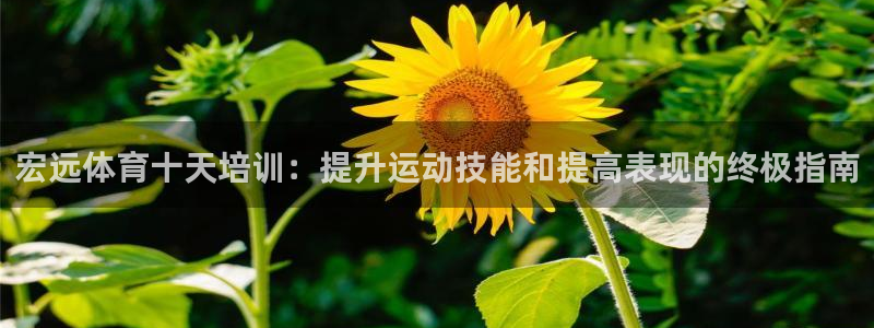 极悦娱乐官网下载：宏远体育十天培训：提升运动技能和提