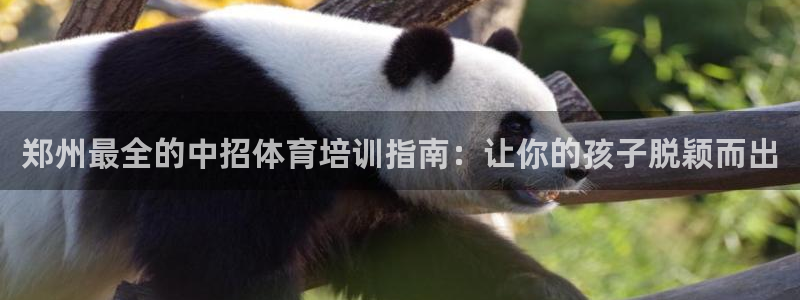 极悦平台官网登录最新版本更新内容介绍：郑州最全的中招