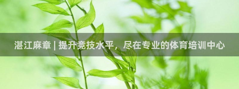 极悦娱乐代理多少钱：湛江麻章 | 提升竞技水平，尽在