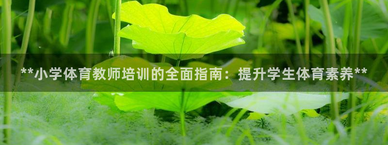 极悦娱乐部7O777：**小学体育教师培训的全面指南