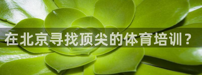 极悦平台注册登录入口：在北京寻找顶尖的体育培训？