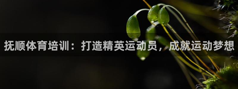 极悦平台官网下载中心app：抚顺体育培训：打造精英运动员，成