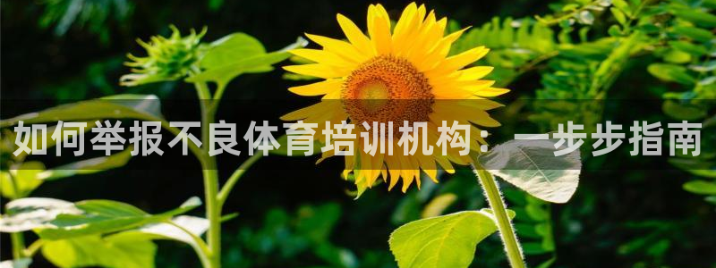 极悦娱乐代理怎么样知乎：如何举报不良体育培训机构：一