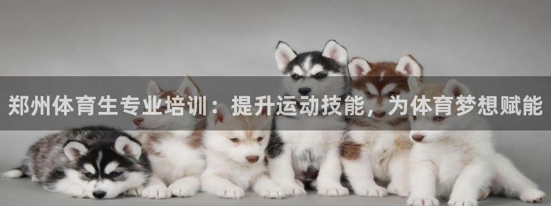 极悦平台客服的联系方式是什么：郑州体育生专业培训：提