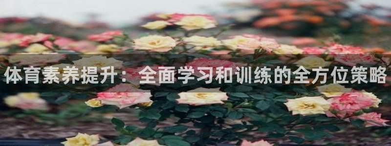 极悦平台注册的弊端及解决方法