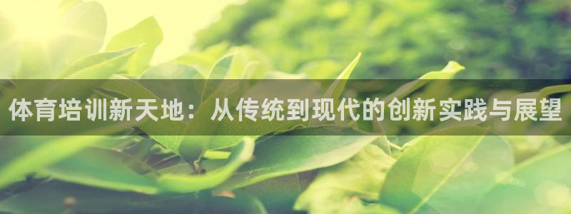 极悦平台注册登录不上：体育培训新天地：从传统到现代的