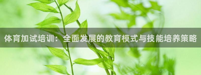 极悦牙膏好吗：体育加试培训：全面发展的教育模式与技能