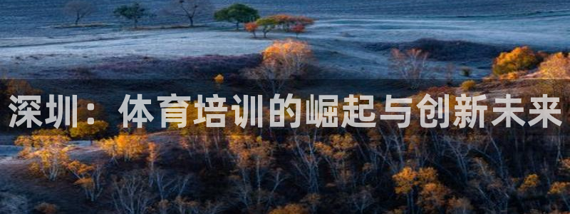 极悦官网首页登录入口网站：深圳：体育培训的崛起与创新