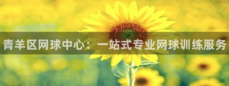 极悦官网入口登录：青羊区网球中心：一站式专业网球训练