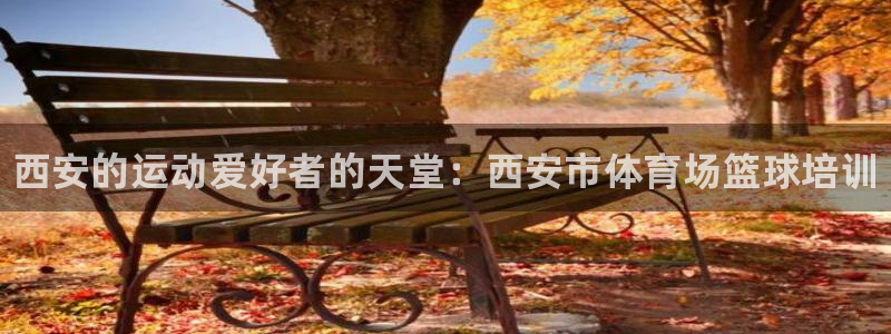 极悦平台基7O777：西安的运动爱好者的天堂：西安市体育场篮