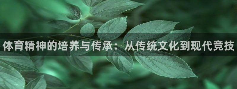 舒客极悦牙膏：体育精神的培养与传承：从传统文化到现代