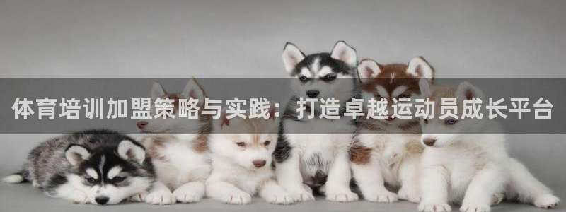 极悦平台用户评价：体育培训加盟策略与实践：打造卓越运