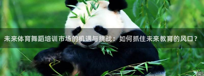 极悦牙膏好吗：未来体育舞蹈培训市场的机遇与挑战：如何