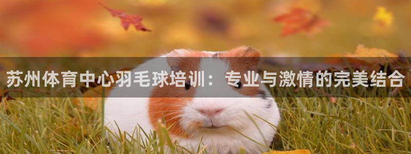 极悦平台官网登录入口：苏州体育中心羽毛球培训：专业与