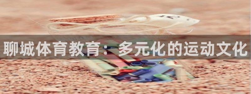 极悦平台平台注册方法与步骤是什么：聊城体育教育：多元