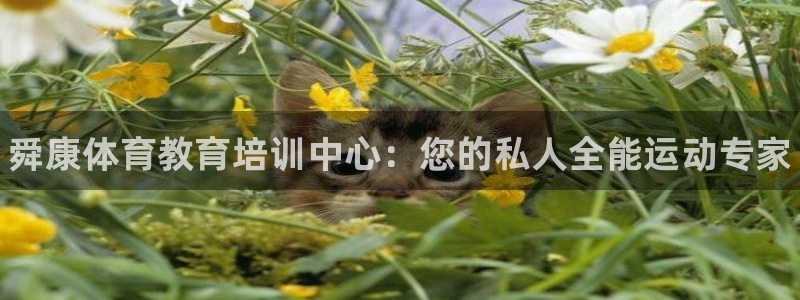 极悦官方网站app下载：舜康体育教育培训中心：您的私人全能运