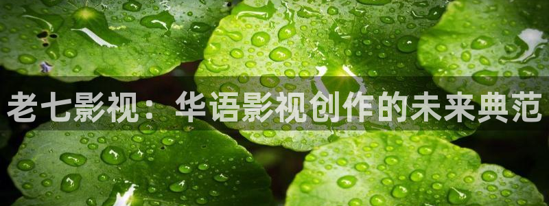 不卡神马奇奇影院：老七影视：华语影视创作的未来典范