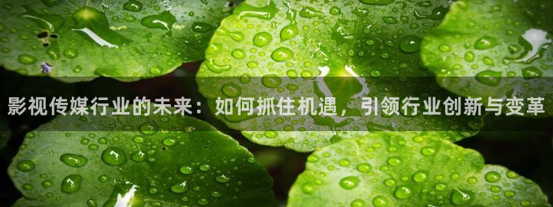 奇奇影院手机版：影视传媒行业的未来：如何抓住机遇，引领行业创新与变革