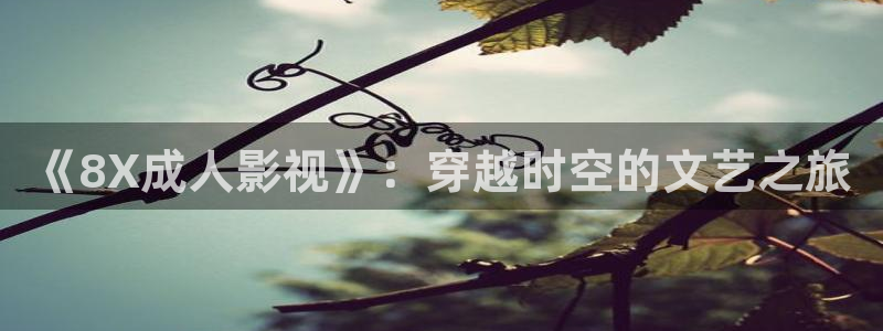 不卡神马奇奇影院：《8X成人影视》：穿越时空的文艺之旅