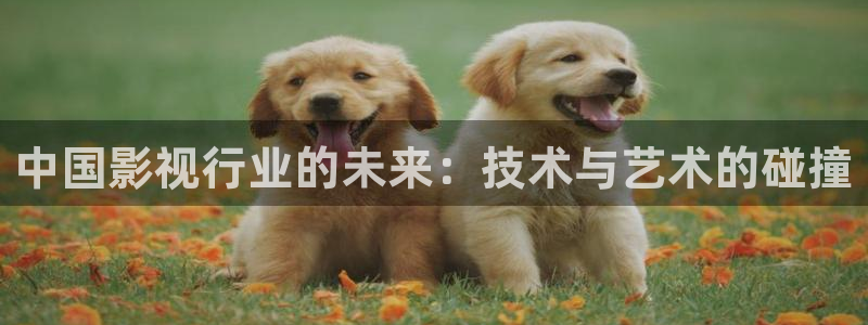 奇奇影院短剧：中国影视行业的未来：技术与艺术的碰撞