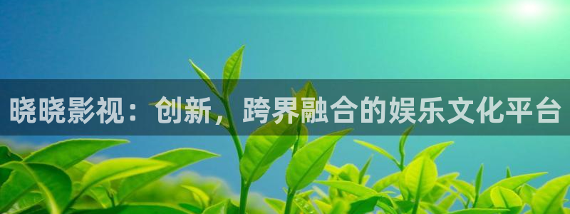 奇奇影院手机版：晓晓影视：创新，跨界融合的娱乐文化平台