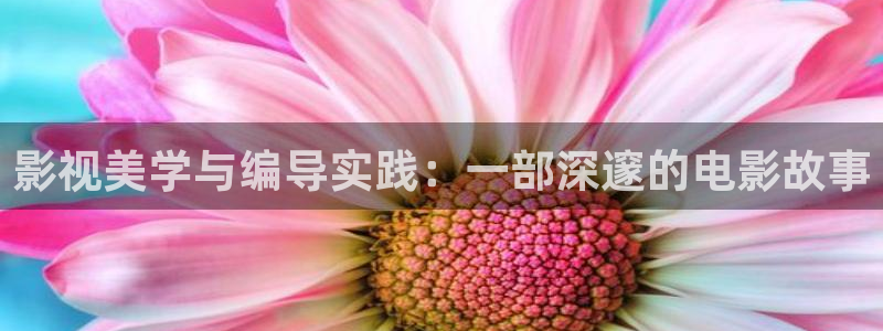 奇奇影院：影视美学与编导实践：一部深邃的电影故事