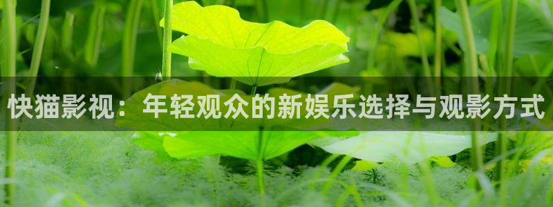奇奇电影：快猫影视：年轻观众的新娱乐选择与观影方式