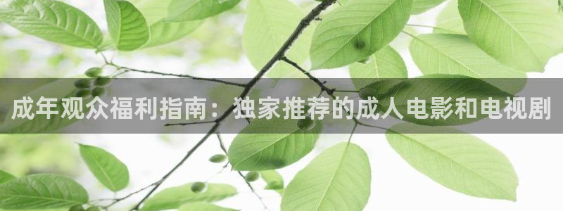 奇奇影院免费在线看：成年观众福利指南：独家推荐的成人电影和电视剧