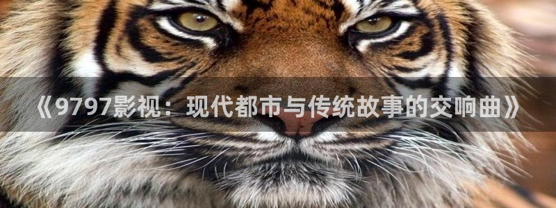 妈妈的朋友奇奇影院：《9797影视：现代都市与传统故事的交响曲》