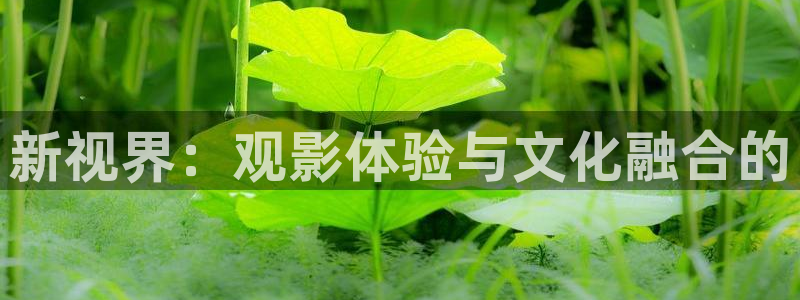 奇奇影院短剧：新视界：观影体验与文化融合的