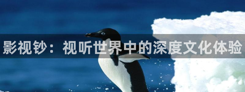 777米奇奇米在线影院：影视钞：视听世界中的深度文化体验